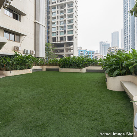 Three Men Sit on Tree